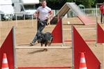 Wo die drei flusse verbinden - concours d'Agility du 21 mars 2015 Parc expo Rennes